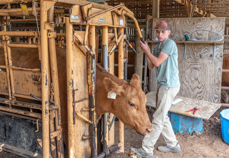 Effective drenching relies on getting the medication in the right place, without waste.