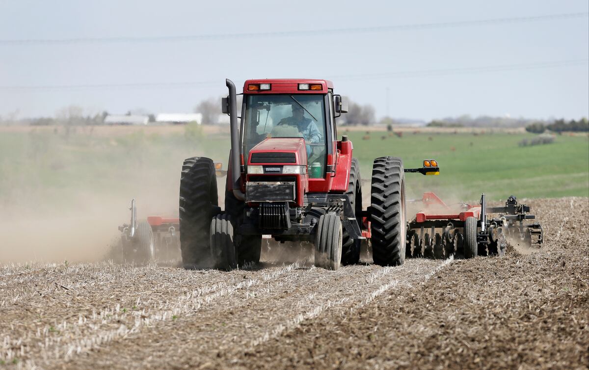 Farmers expect less corn, more soybean acres