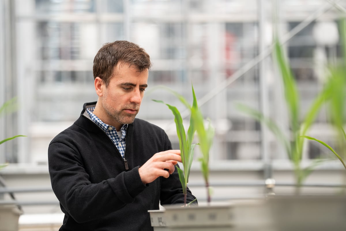 New tool could help farmers limit nitrate leaching