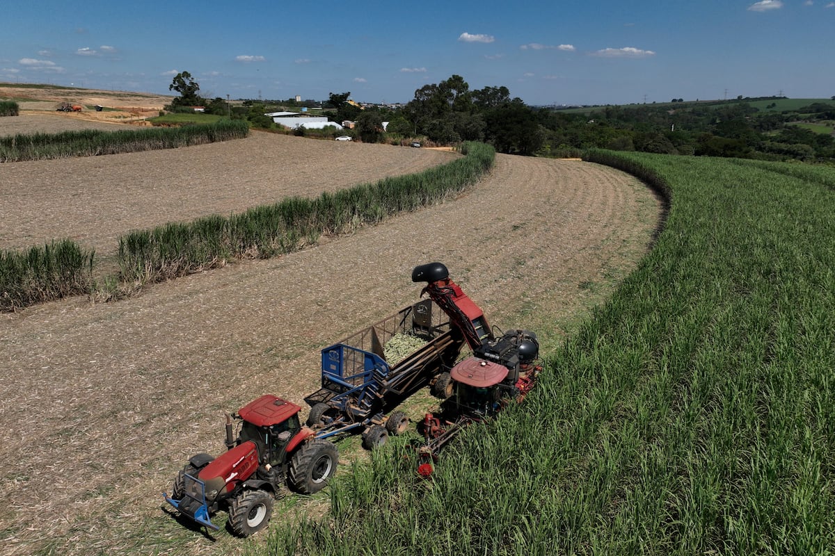 Brazil is uniquely positioned to weather rising world oil prices. Here is why