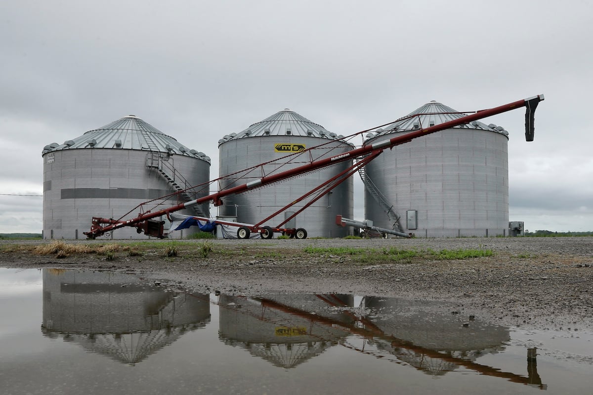 The AgriNews AgriMinute podcast: Farm economy enduring a generational downturn