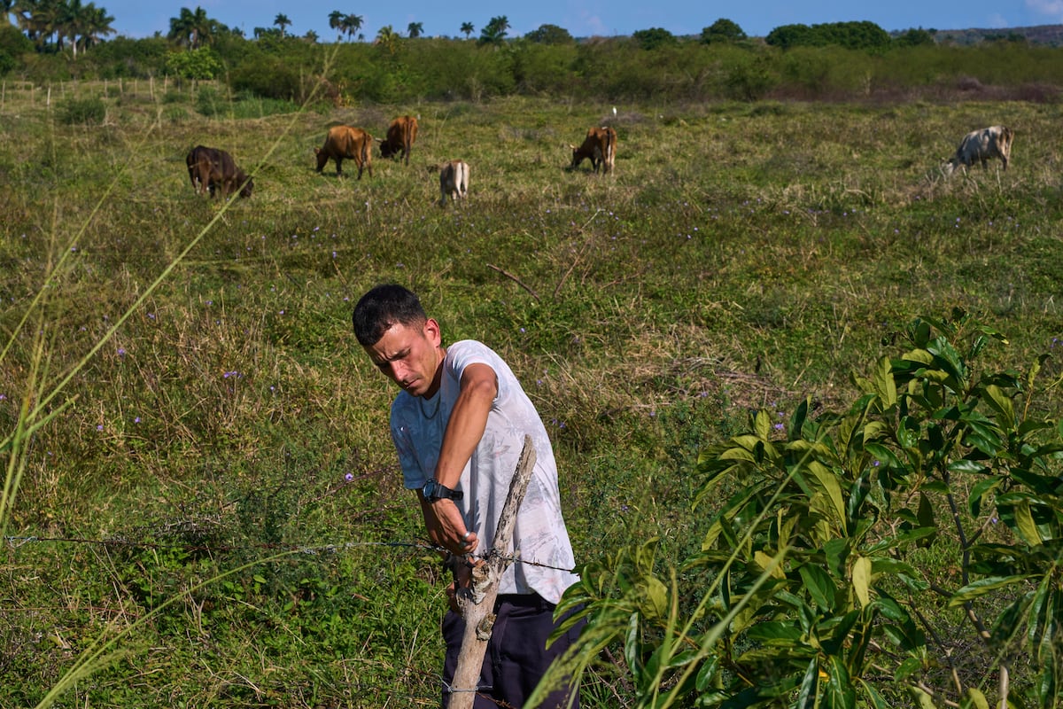 U.S. energy blockade leaves Cuban farmers struggling to feed a nation