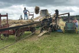 Vintage farming on full display at threshing bee