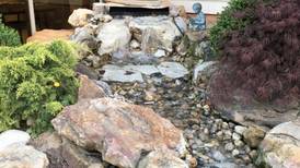 5 benefits of rainscaping