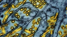 California declares an emergency over bird flu