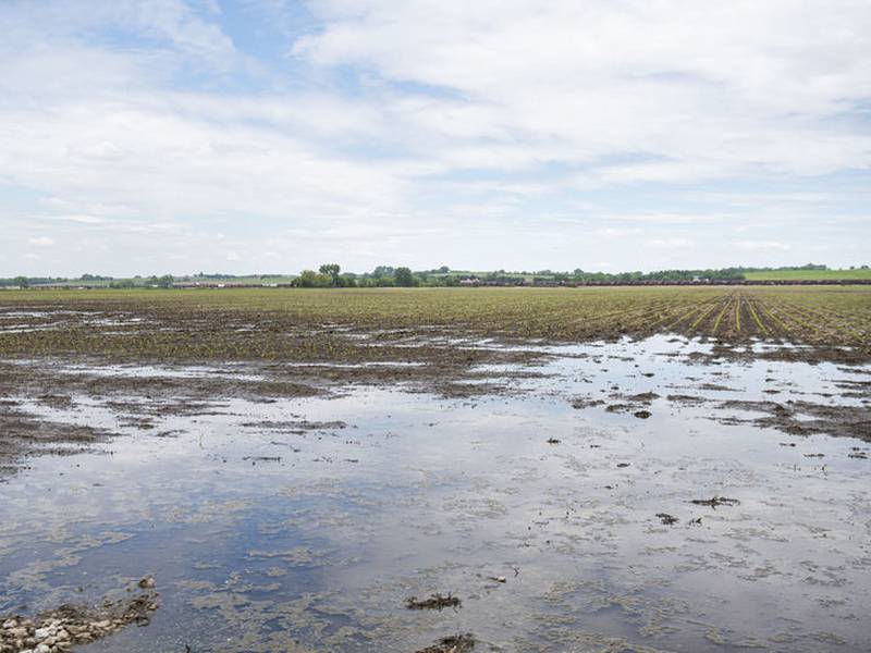 The AgriNews AgriMinute podcast: Farm bankruptcies continue to climb