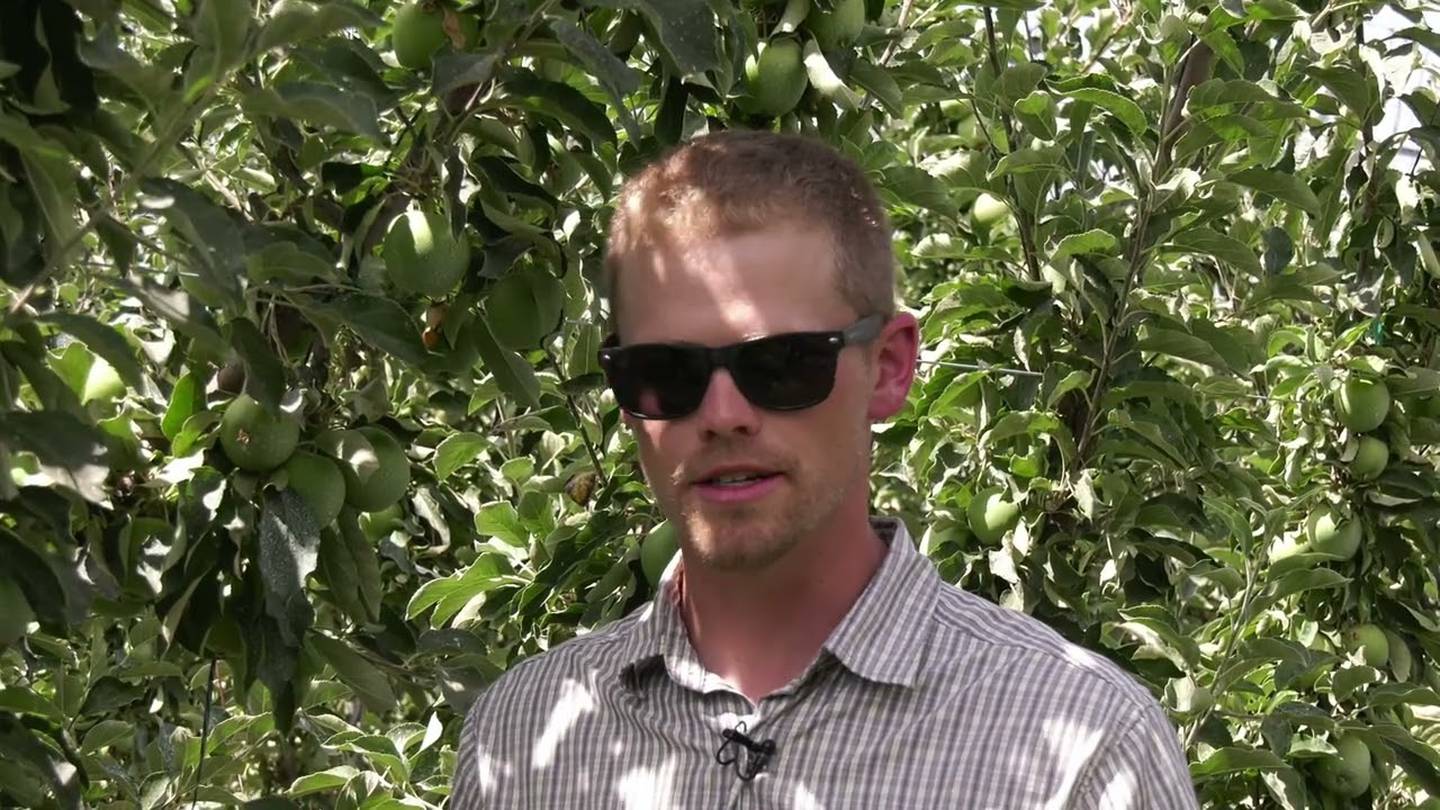 Matt Haak