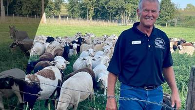 Farmer writes book about regenerative practices