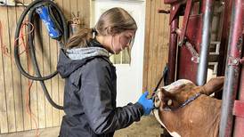 Star in Agricultural Placement