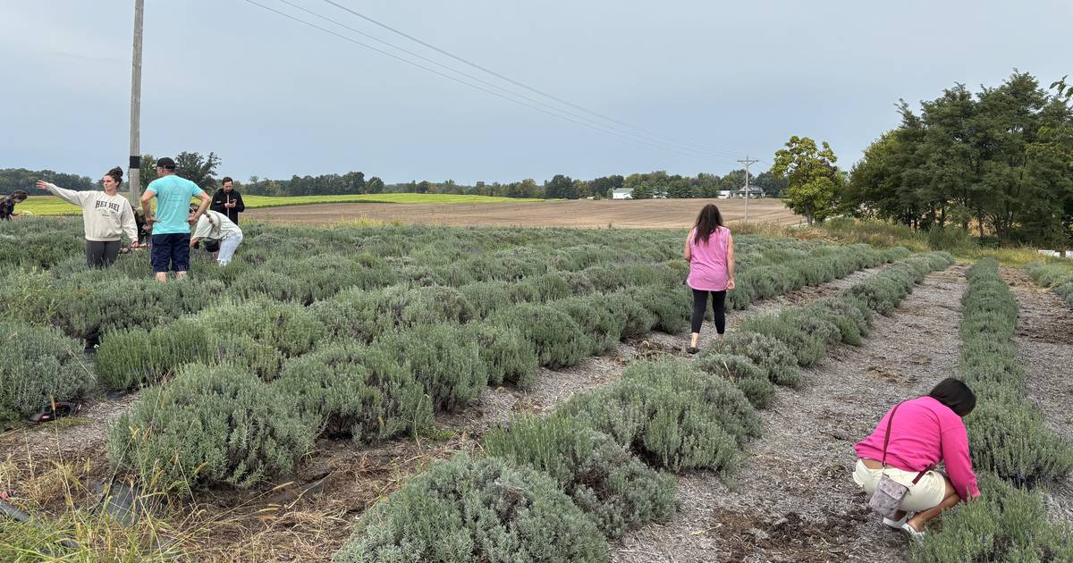 Veterans learn about farming through Indiana AgVets