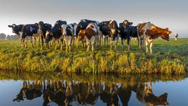 The Zipline: Farmers making their voices heard on WOTUS
