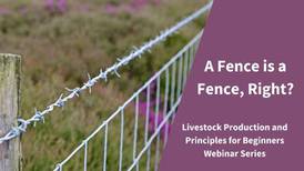 Livestock Fencing Webinar to be held in January