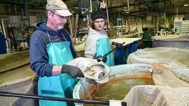 $10 million USDA grant targets more Midwestern seafood production and consumption
