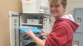 FFA students raise quail, chickens in agricultural classroom
