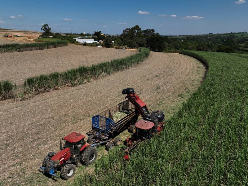 Brazil is uniquely positioned to weather rising world oil prices. Here is why