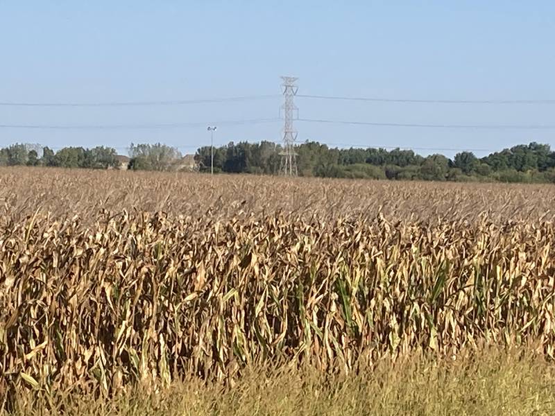 Indiana crop progress for Oct. 10, 2025.