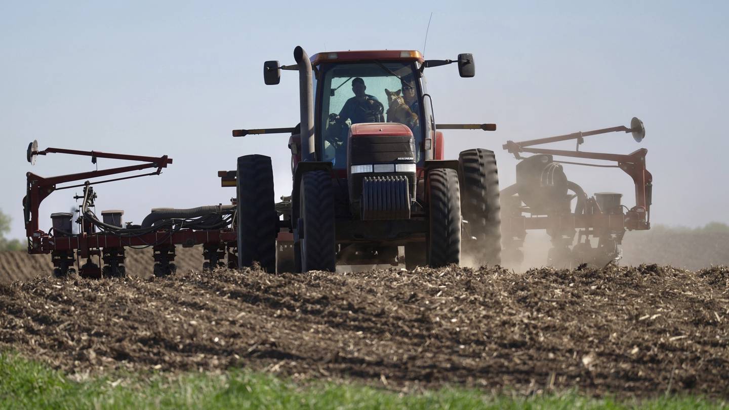 Soybeans are planted near Waverly, Minnesota.
