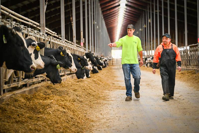 While software platforms like DairyComp provide robust analytics and trend reports, that data should start conversations — not replace them.