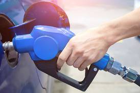Bill to enable E15 sales year-round
