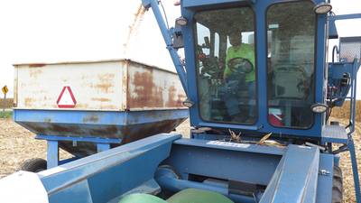 Variety Testing provides independent data