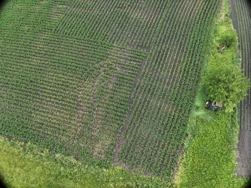 Drone valuable field scouting tool
