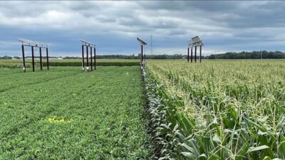 Purdue researchers harvest solar power at lower cost, minimal crop yield impact