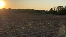 Hybrid tillage system hits market