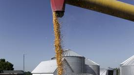 Bearish report highlights need for biofuel certainty