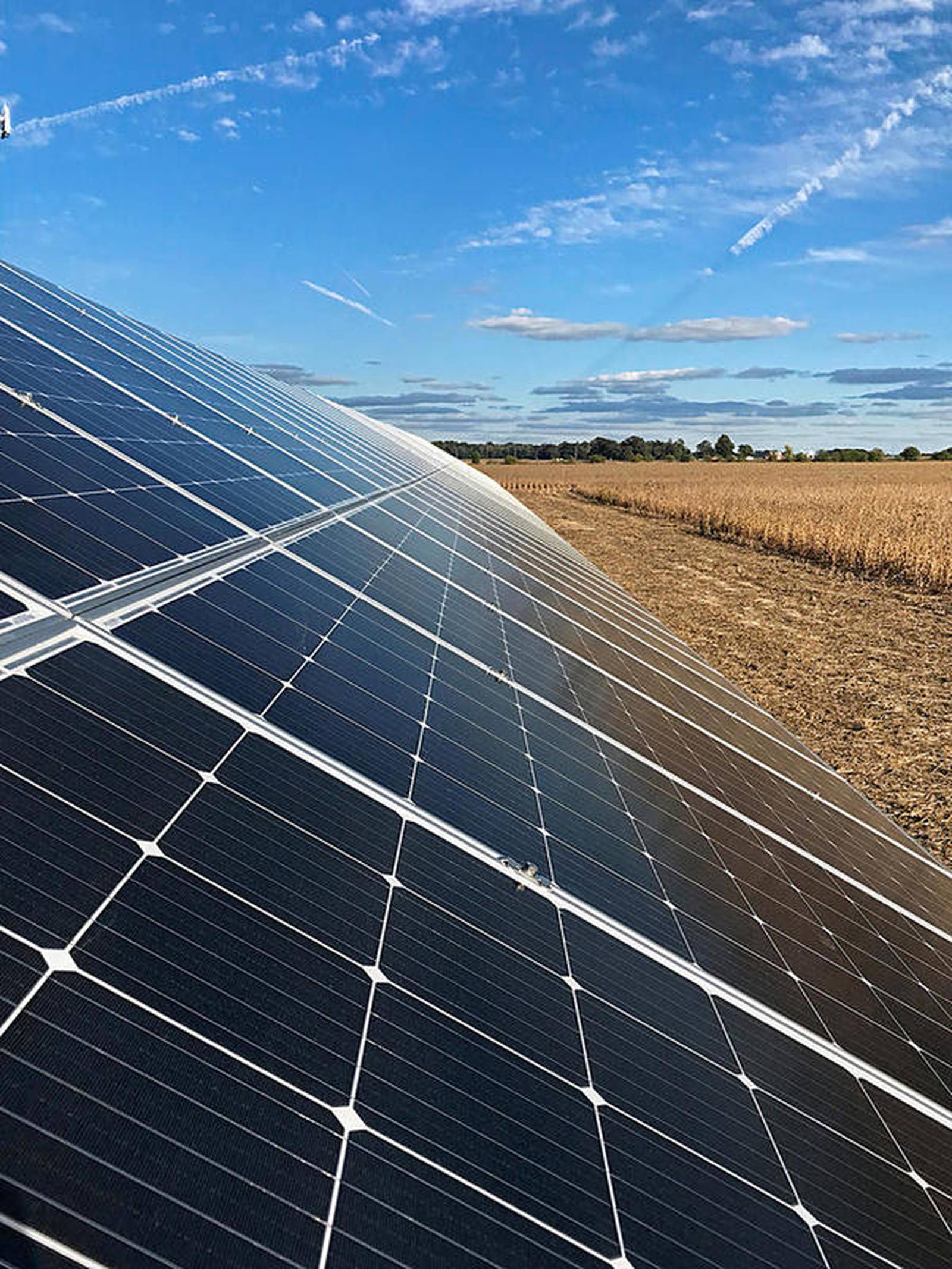 Solar array slashes energy costs – AgriNews