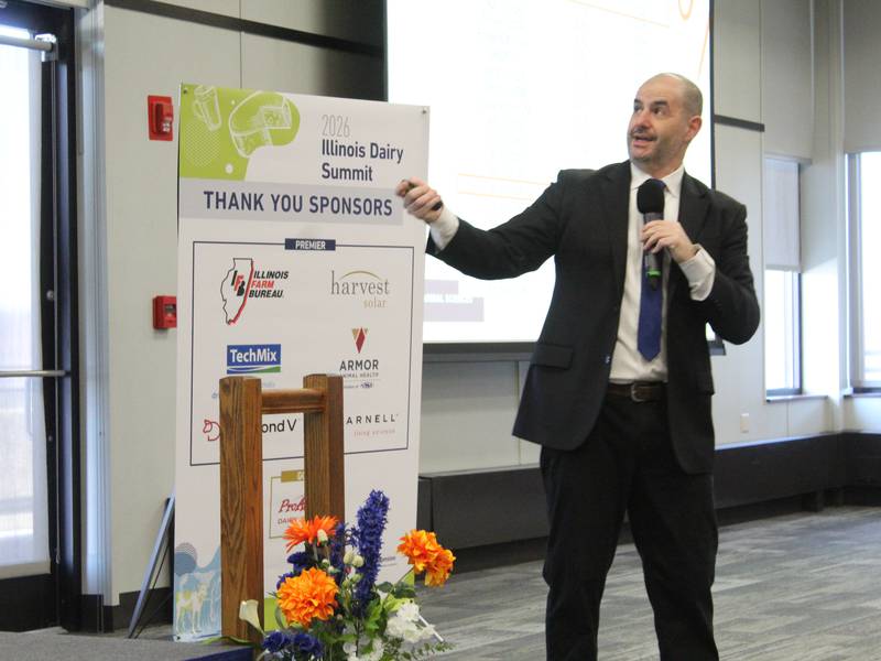 Adding hybrid rye to dairy rations could reduce costs