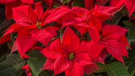 Focus on Agriculture: As the seasons change