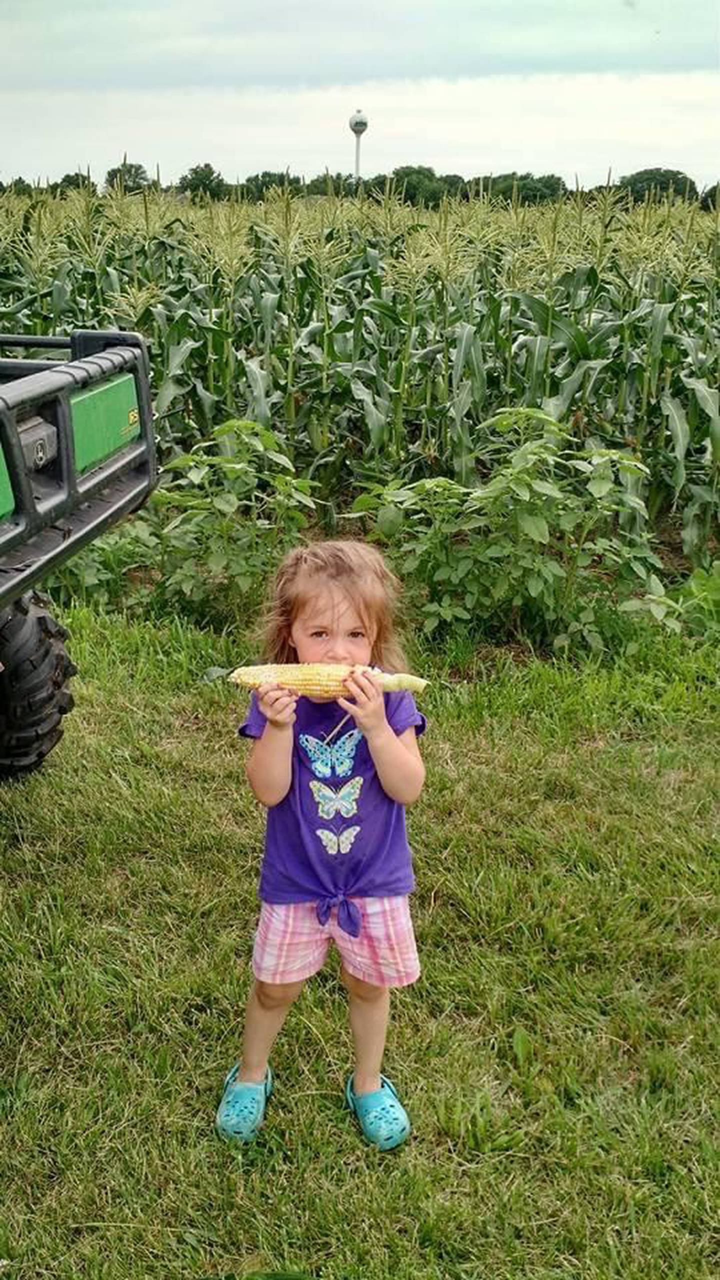 “Papa, it doesn’t need butter!” — Denise Boggio: “Future sweet corn picker!”
