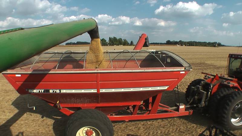 Plenish high oleic soybeans are harvested in the fall.