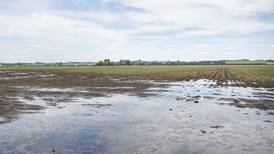 The AgriNews AgriMinute podcast: Farm bankruptcies continue to climb