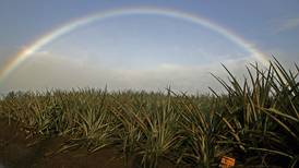Hawaii moves to broaden agricultural land activities