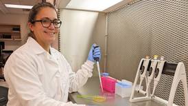 Microbe sneaks past tomato defense system, advances evolutionary battle