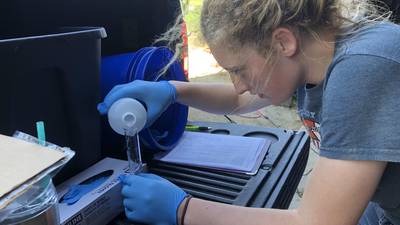 Illinois FFA member develops national award-winning research projects