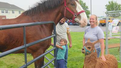 Olsons bring farm animals to communities
