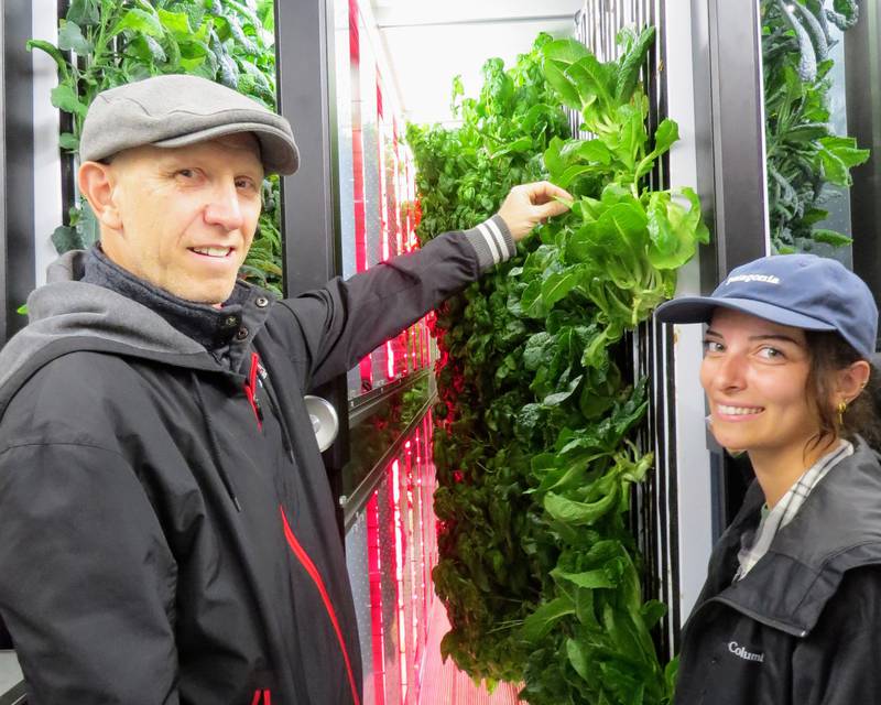 Bryan Flower, director of the Northern Illinois University Edible Campus program and associate director of food systems innovation at NIU, and Laura Fehling, program coordinator for the Edible Campus program, said the HydroPod, a vertical farming system that can be controlled by phone or laptop computer, can produce 5,000 pounds of leafy greens a year.