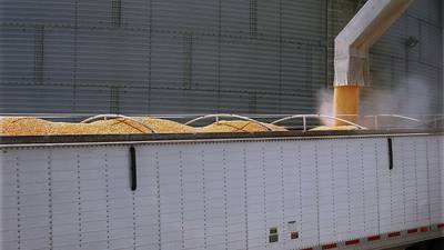 Record U.S. corn yield rises to 188 bushels per acre
