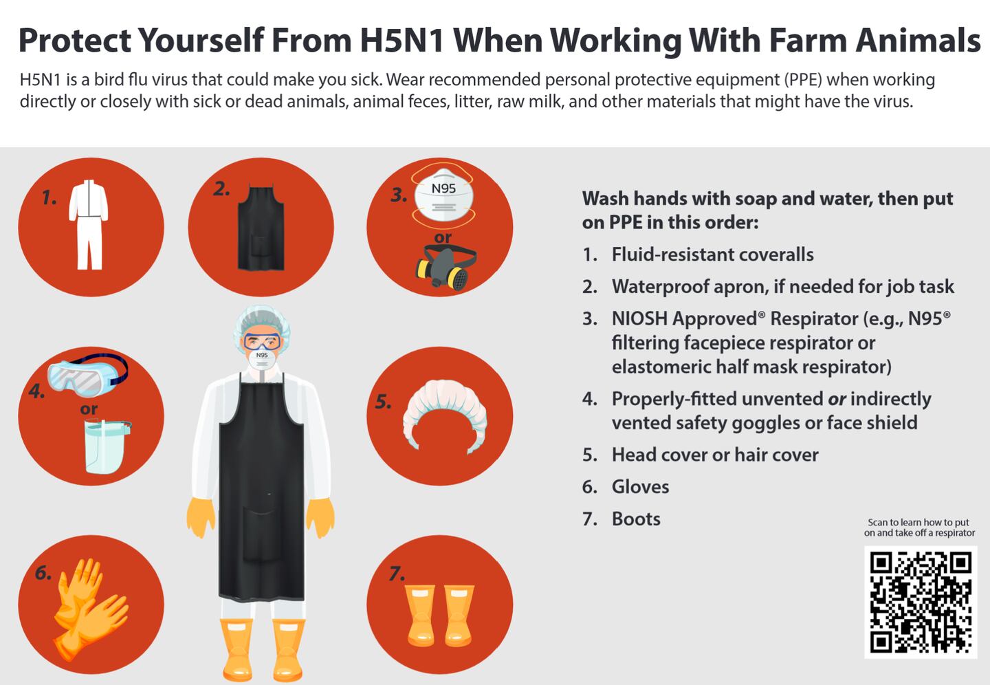 Personal protective equipment is a first line of defense against avian influenza.