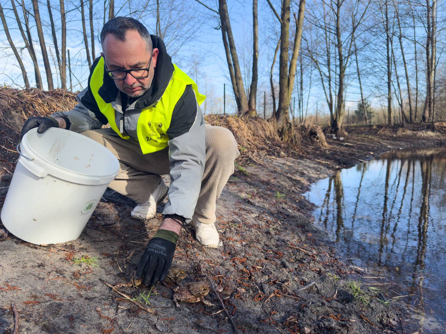 Lukasz Franczuk, a local Frog Patrol coordinator, releases toads into a pond April 6 in Otrebusy, Poland.