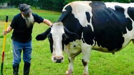 Farm offers happily-ever-afters to rescued livestock