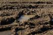 Wet start to March impacts field conditions
