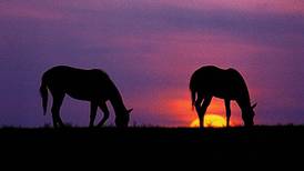 Hold the gate: Start the grazing season off right