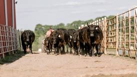 Experience Tennessee cattle country following CattleCon 2026