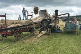 Vintage farming on full display at threshing bee