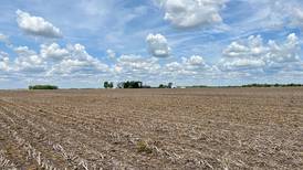 Lawton Farms auction features more than 1,100 acres