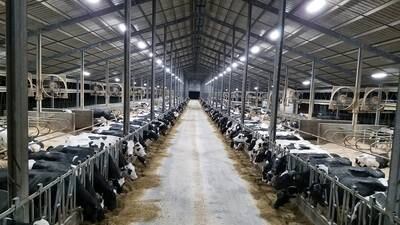 Then to now: Dairy farms evolve, become more efficient