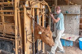 Get better drenching results with these application tips